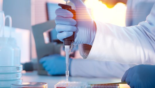 Китайські вчені першими у світі закінчили секвенування геному домашньої курки