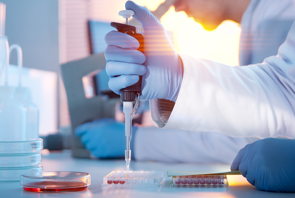 Китайські вчені першими у світі закінчили секвенування геному домашньої курки