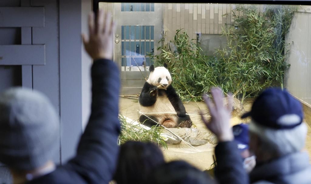 Люди сходяться до токійського зоопарку, щоб попрощатися з улюбленою гігантською пандою Сян Сян