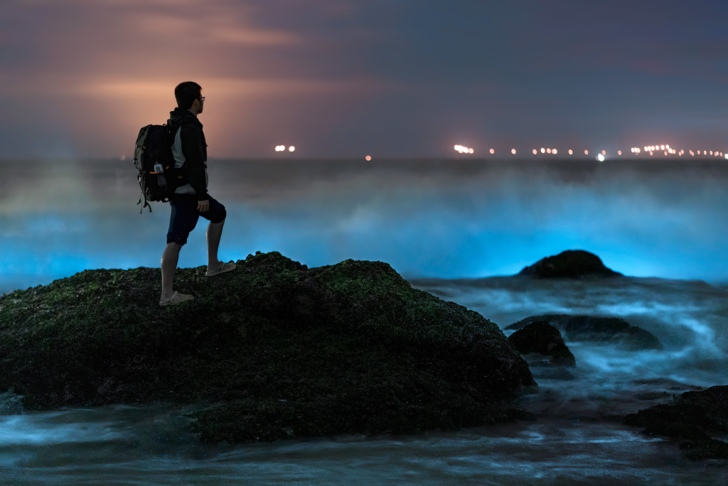 Явище флуоресцентного моря на пляжі схоже на Чумацький шлях, що падає на землю