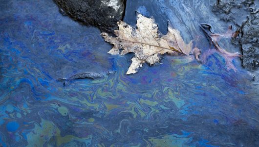 Американські ЗМІ: жителі регіону сходу потяга з рейок в Огайо постраждали від збільшення кількості захворювань, пов’язаних з хімічними речовинами