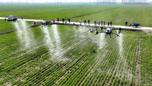 Статтю Сі Цзіньпіна про модернізацію сільського господарства та села буде опубліковано в журналі “Цюши”