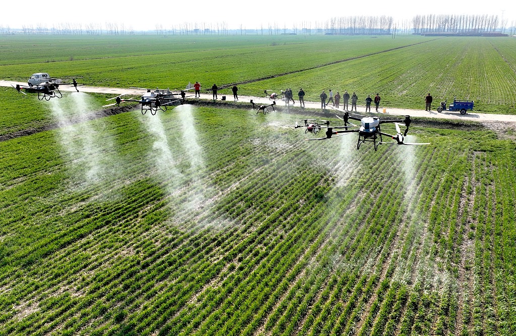 Статтю Сі Цзіньпіна про модернізацію сільського господарства та села буде опубліковано в журналі “Цюши”