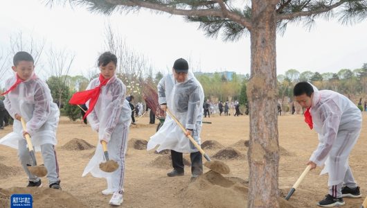Сі Цзіньпін взяв участь у заході з посадки дерев у Пекіні