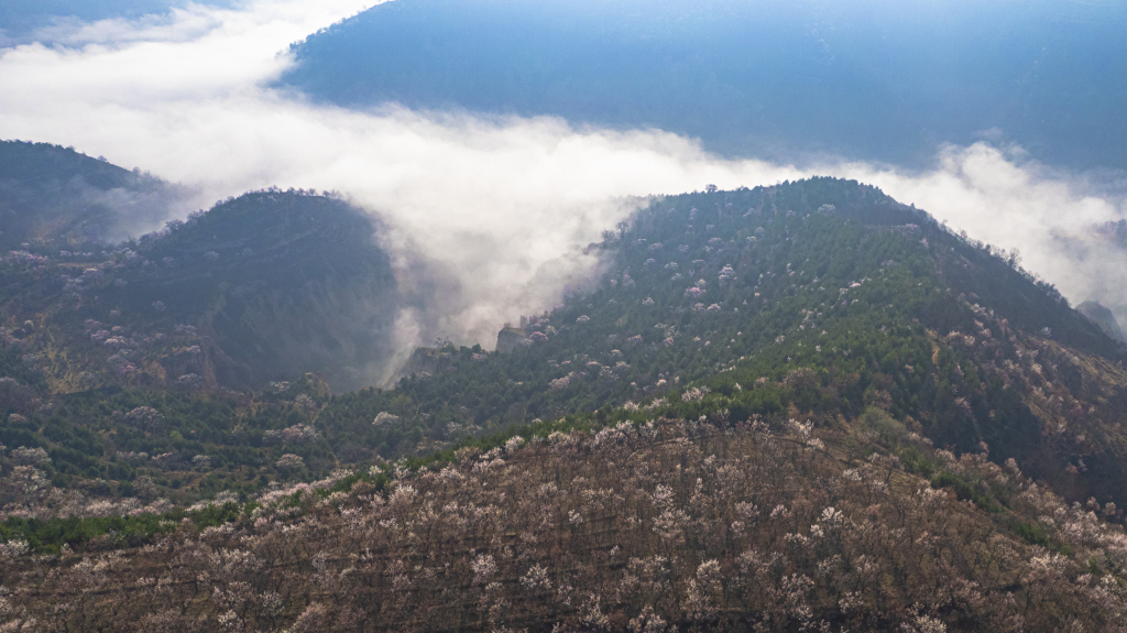 Село Чженьюй оповите туманом, зацвітають гірські квіти