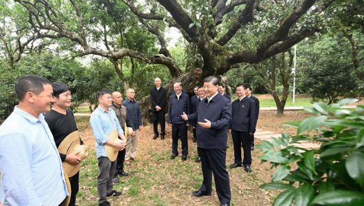 Сі Цзіньпін заявив про великі перспективи самобутніх виробництв у сільських районах