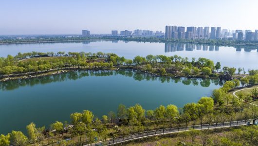 За 2022 рік в Китаї покращилися екологія та якість навколишнього середовища