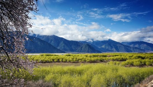 У 2022 році в Тибеті спостерігалася стабільно сприятлива екологічна ситуація