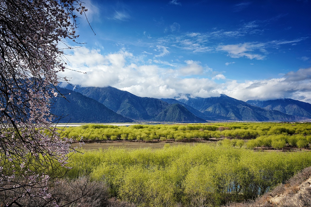 У 2022 році в Тибеті спостерігалася стабільно сприятлива екологічна ситуація