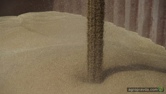 Експорт зерна втрачає більше 2% обсягу минулого зернового сезону