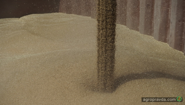 Експорт зерна втрачає більше 2% обсягу минулого зернового сезону