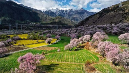 Щасливе життя села Ґала