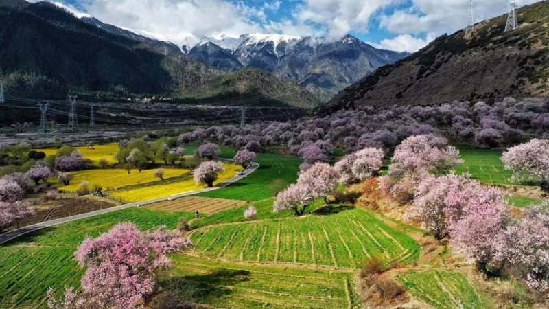 Щасливе життя села Ґала