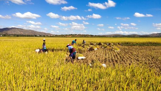 Сіяти зерна надії