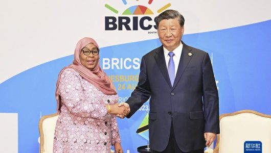 Сі Цзіньпін провів зустріч із президентом Танзанії