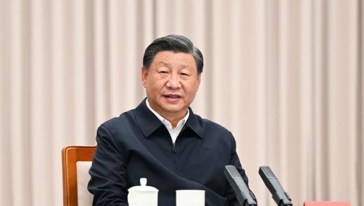 Сі Цзіньпін закликав ретельно написати новий розділ всебічного відродження північно-східного регіону Китаю