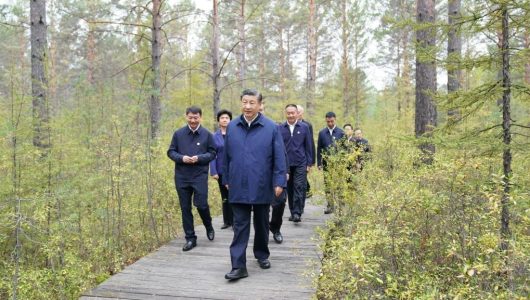 Сі Цзіньпін відвідав лісгосп Мохе та село Бейцзі під час інспекційної поїздки до провінції Хейлунцзян