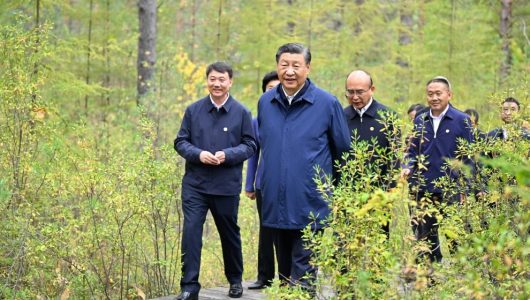 Сі Цзіньпін відвідав лісгосп Мохе та село Бейцзі під час інспекційної поїздки до провінції Хейлунцзян