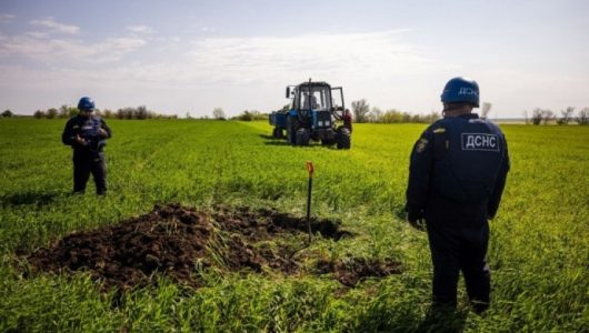 В Україні видають ваучери на навчання за професією “сапер”: як отримати