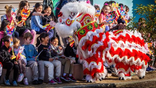 У Бразилії та Нідерландах відбулися святкові заходи з нагоди китайського свята Весни