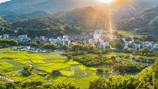 У Китаї визначили пріоритети реформ для сільської місцевості у 2025 році