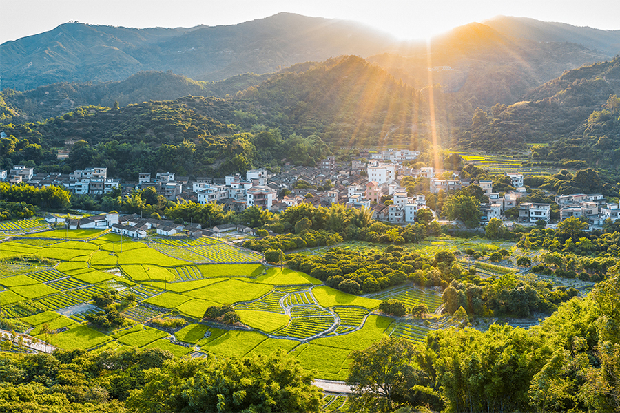 У Китаї визначили пріоритети реформ для сільської місцевості у 2025 році