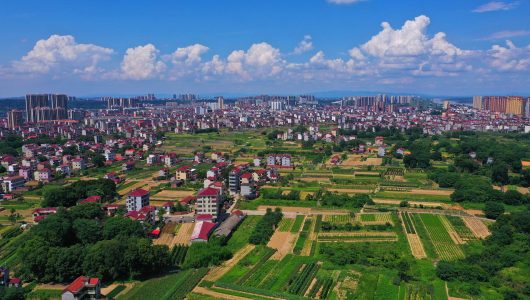 Китай послідовно просуває всебічний підйом села