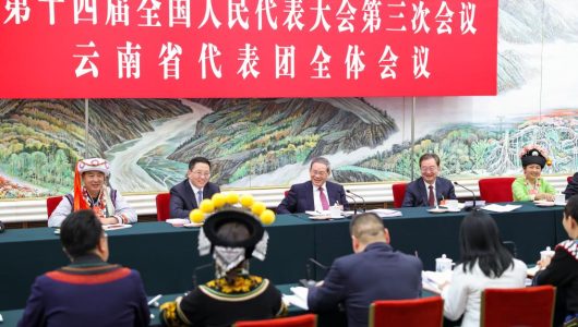 Керівники Китаю взяли участь у групових обговореннях на 3-ї сесії ВЗНП 14-го скликання