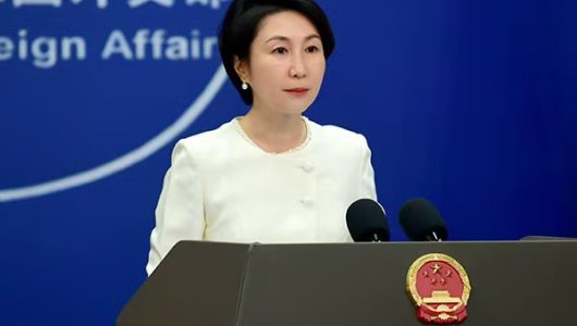 МЗС КНР: Китай підтримує мирне врегулювання української кризи