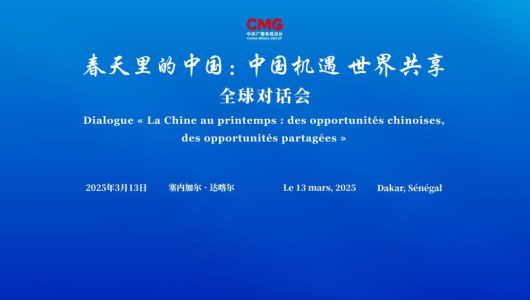 CMG провела в Дакарі спеціальну сесію глобального діалогу «Китай навесні»