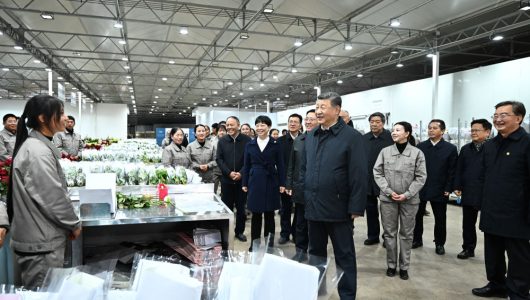 Сі Цзіньпін проінспектував провінцію Юньнань на південному заході Китаю