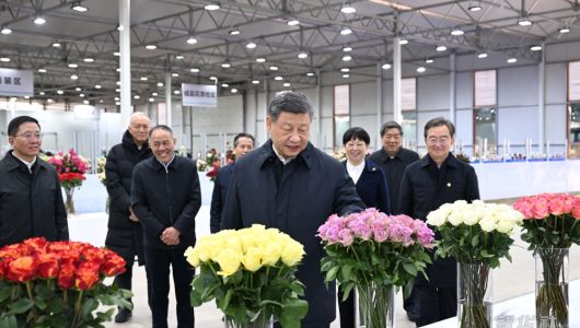 Сі Цзіньпін відвідав парк квіткової індустрії в провінції Юньнань