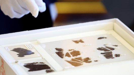 Китайські стародавні рукописи на шовку, повернуті американським музеєм, прибули до Пекіна