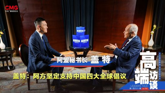 Абуль Гейт: Арабські країни рішуче підтримують чотири глобальні ініціативи Китаю