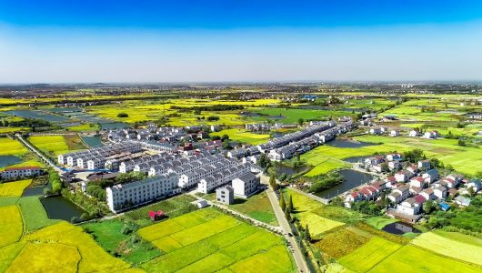 Опитування CGTN: понад 90 відсотків визнають ключову роль Китаю у глобальному скороченні бідності