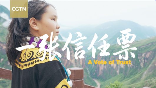 Один голос довіри