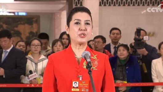 Ректор Сіньцзянського інституту мистецтв: нині — найкращий період розвитку в історії Сіньцзяну, а «квіти граната» розквітнуть ще яскравіше