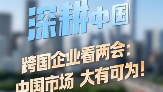 Транснаціональні компанії про «дві сесії»: китайський ринок має величезні можливості