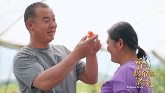 Ароматна романтика