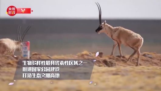 Цінхай є яскравим прикладом у галузі захисту навколишнього середовища та високоякісного розвитку