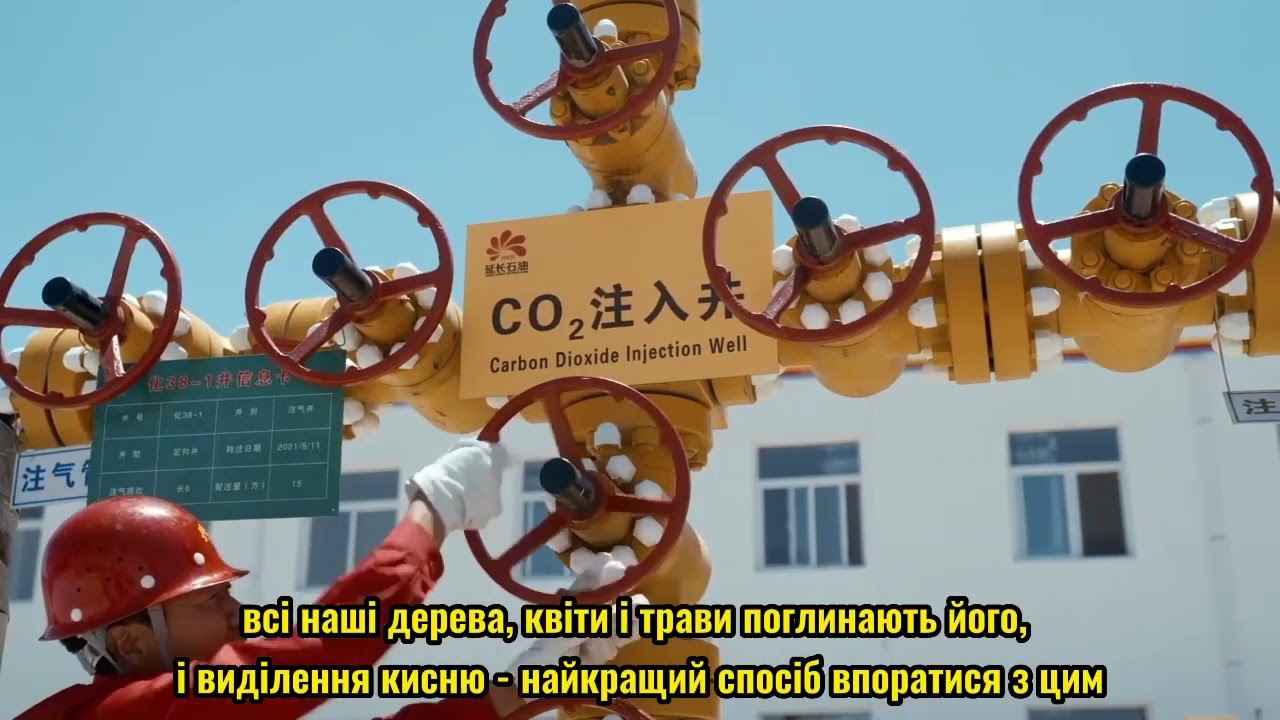 Діти можуть зрозуміти, що таке «вловлювання вуглецю»