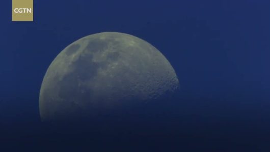 Фільм “Китай – батьківщина диких тварин” запрошує Вас насолодитися біорізноманіттям