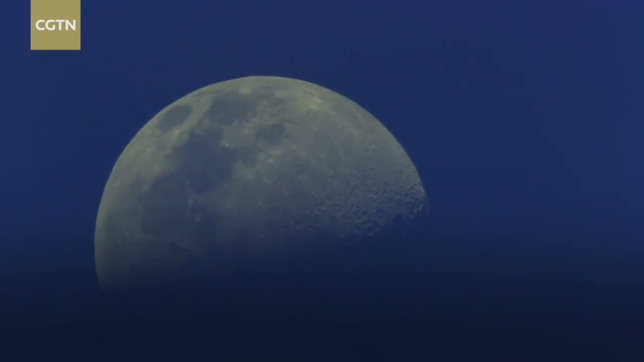 Фільм “Китай – батьківщина диких тварин” запрошує Вас насолодитися біорізноманіттям