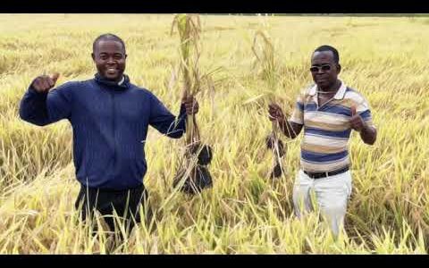 Ініціатива глобального управління накреслює краще майбутнє для мінливого світу