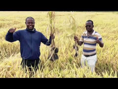 Ініціатива глобального управління накреслює краще майбутнє для мінливого світу