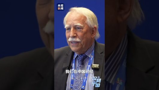 Коли «приховані чемпіони» європейських компаній приходять до Китаю