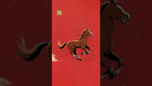 Конкурс CGTN “Все про коней” оголошується відкритим