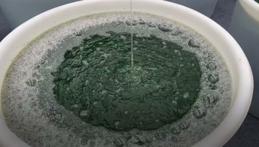 Китайська медицина в овочевій теплиці