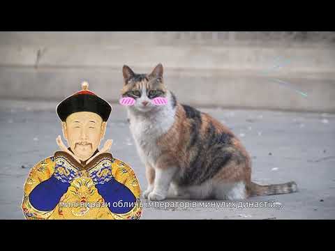 Молоді люди, які зробили Заборонене місто “Інтернет-знаменитістю”