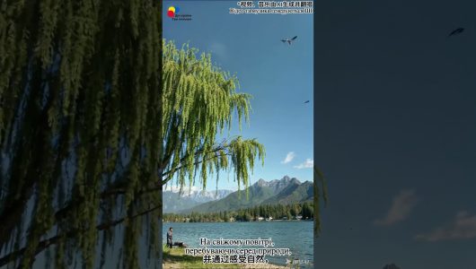 【Наші пісні】Послухаємо пісню про Цінмін, і дізнаємося про свято, яке схоже на Радоницю!